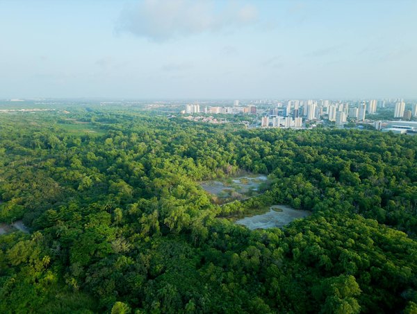 Formation de sophrologie à dijon : votre chemin vers le succès