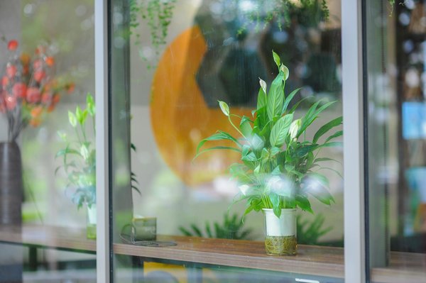 Sécurisez vos projets photovoltaïques : confiance et protection assurées