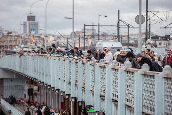 Les Clés Indispensables de la Gestion de l'Eau en Permaculture Écologique